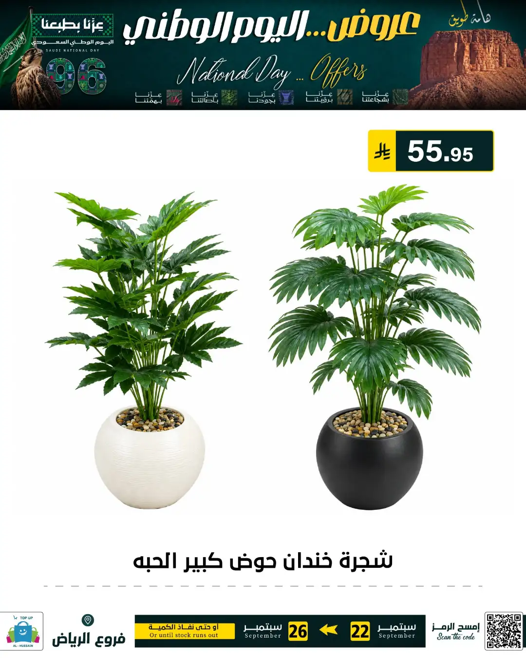 Top Up Riyadh Saudi National Day Offers page 45