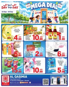 Day to Day Mega Deal | Latest Offers & Deals flyer cover