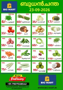 Wednesday offer flyer cover