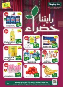 Al Raya | Latest Offers & Best Price flyer cover