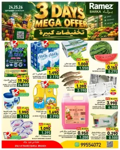 Ramez Barka 3 Days Mega Offer | Grocery & Household Deals flyer cover