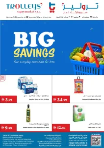 Trolleys Supermarket Big Savings Deals flyer cover