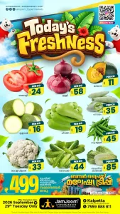 Today freshness flyer cover