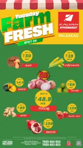 Tuesday farm fresh flyer cover