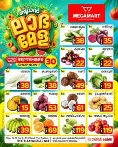 Labha mela flyer cover