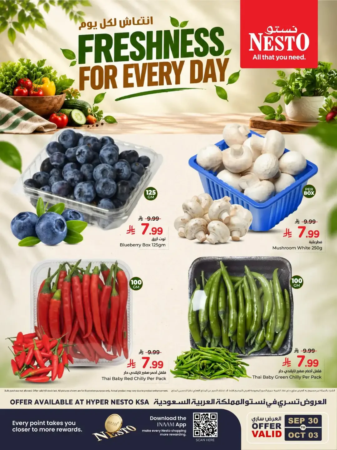 Nesto KSA | Latest Offers & Discounts page 3