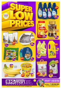 Super Low Prices | BIGmart Dubai flyer cover