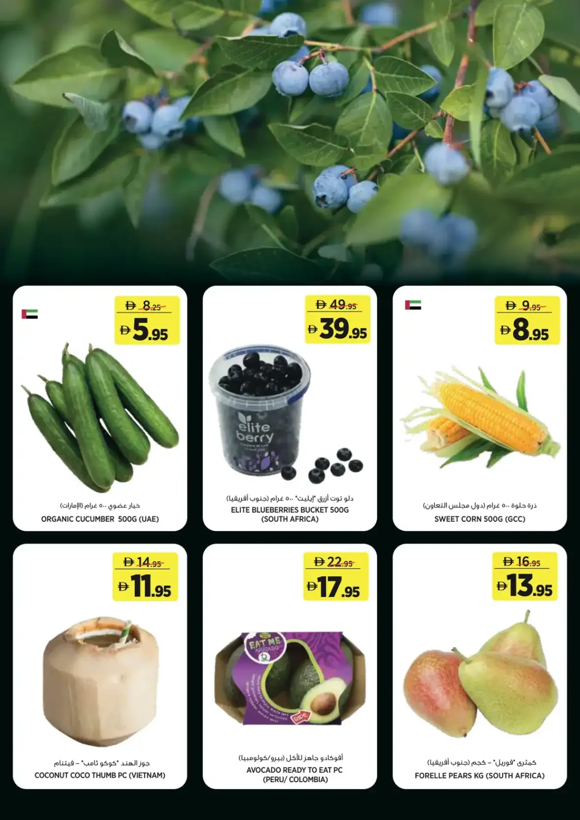 For Every Day Deals | Géant UAE page 2