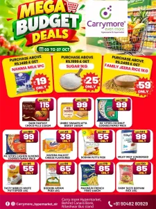 Mega Budget Deals | Carrymore Hypermarket flyer cover