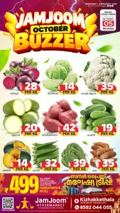 Monday offer flyer cover