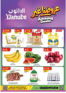 Amazing Deals | Danube Saudi Arabia flyer cover