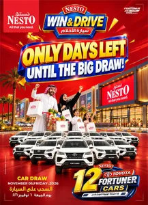 Shopping Festival Deals at Nesto flyer cover