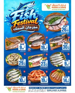 Fish festival flyer cover