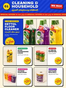Cleaning & Household Special Offers | MS Max Hypermarket flyer cover
