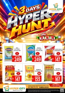 3 days offer flyer cover