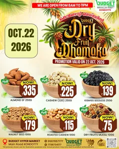 Dry fruit dhamaka flyer cover