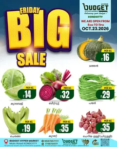 Friday big sale flyer cover