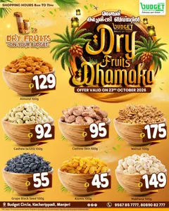 Dry fruit dhamaka flyer cover