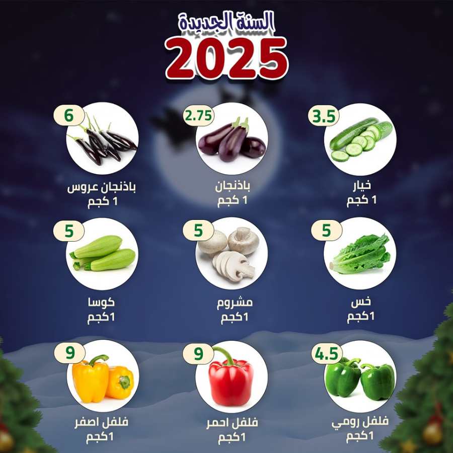 New Year Offer - Shop Now In Al Nahda Masriya Abu Dhabi