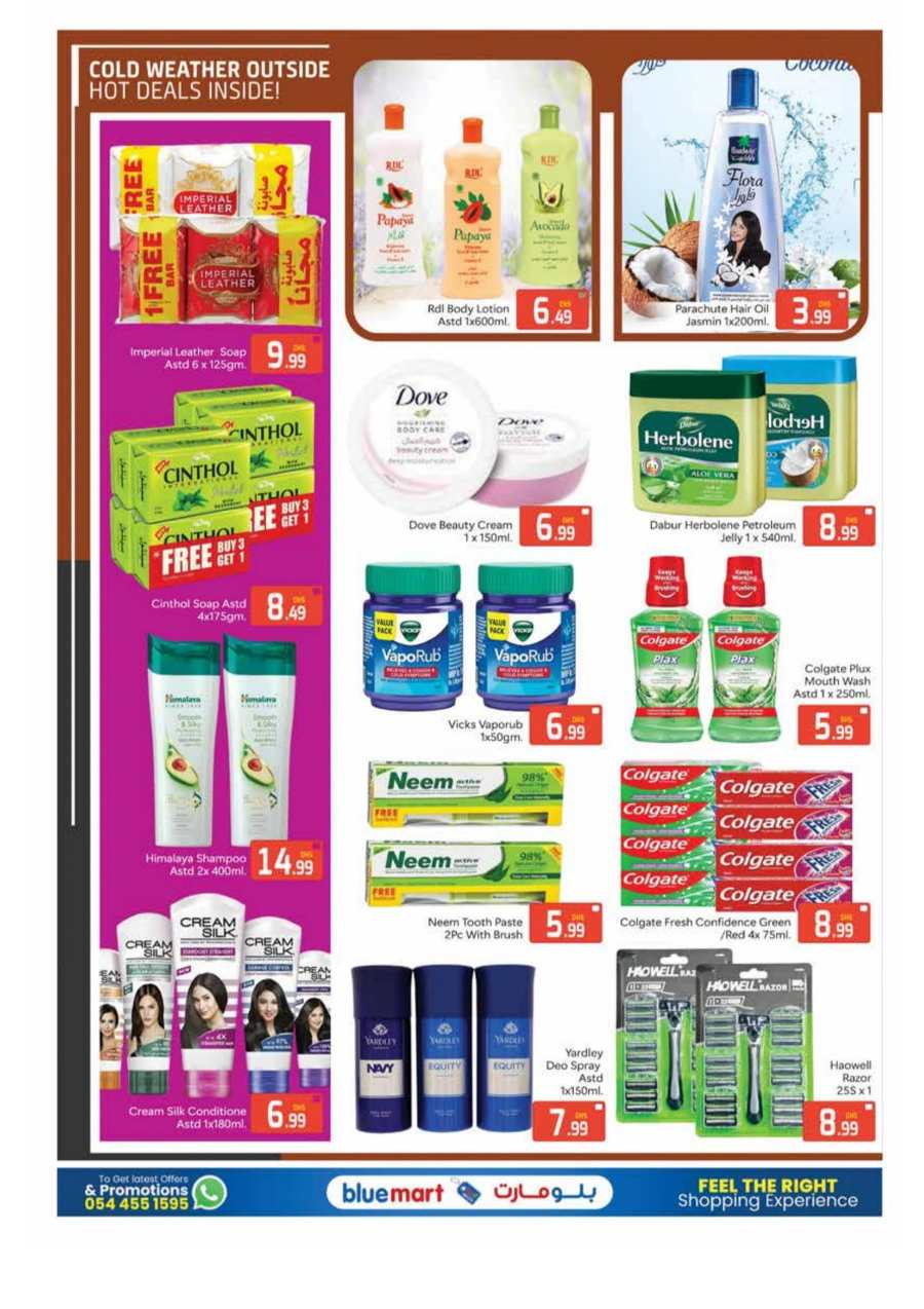 Buy More, Save More: Exclusive Deals Inside! In Bluemart Dubai