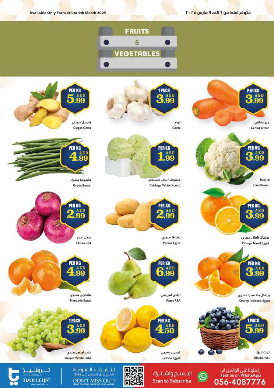 Exclusive Ramadan Offers: Unbeatable Prices - Shop Now In Trolleys Supermarket Dubai