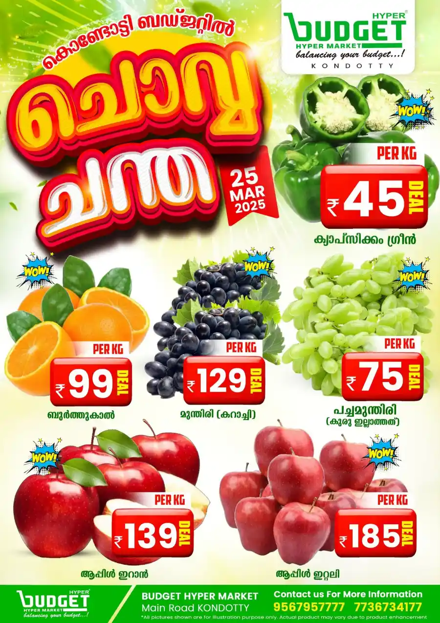 Lowest Price Offers Today | Exclusive Deals In Budget Hypermarket undefined