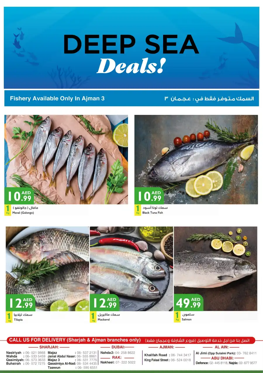 Fresh Deals In Istanbul Supermarket Ras al Khaimah