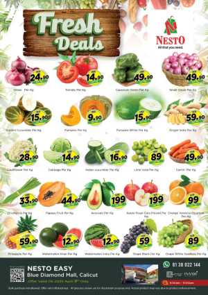 Today's Top Deals In Nesto Easy Calicut