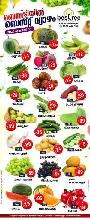 Deal of the Day! In Bestree Mart Malappuram