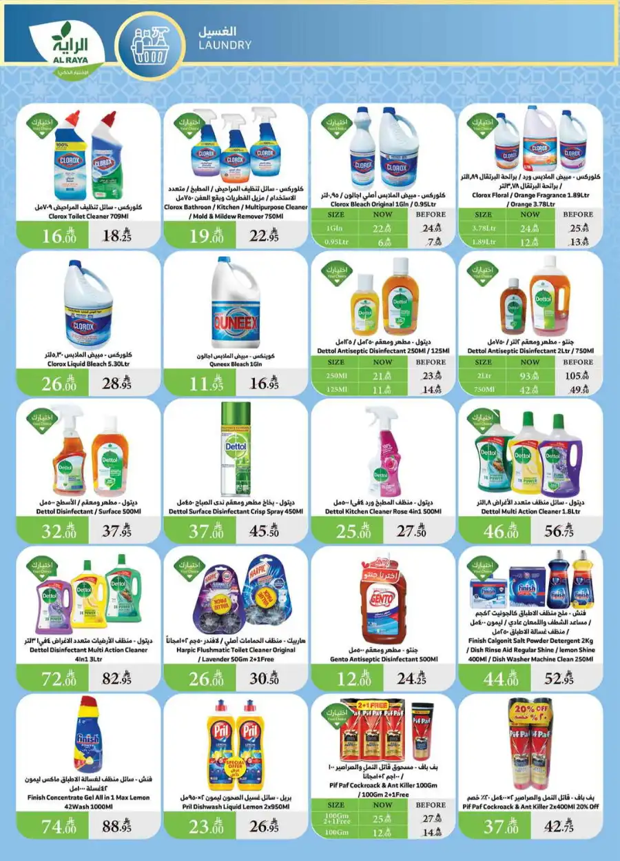 Savings In Al Raya undefined