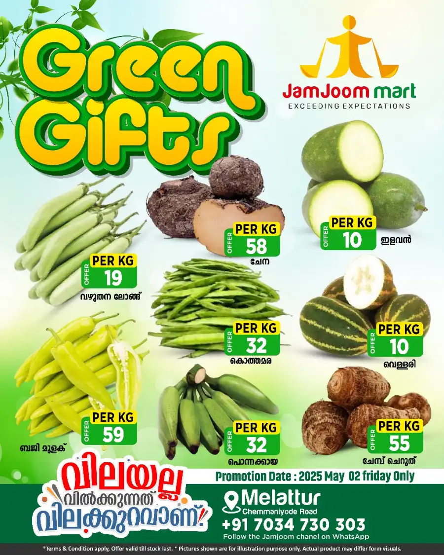 Green Gifts In JamJoom Hypermarket undefined