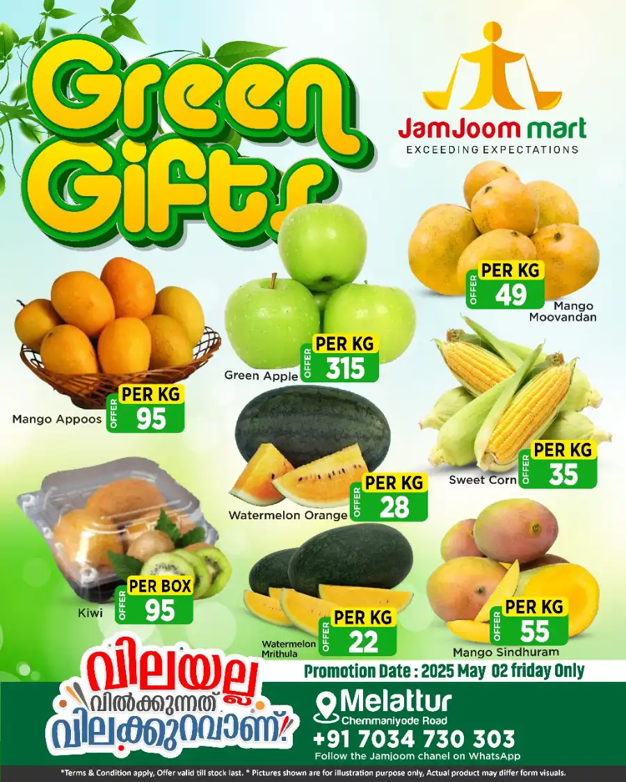 Green Gifts In JamJoom Hypermarket undefined