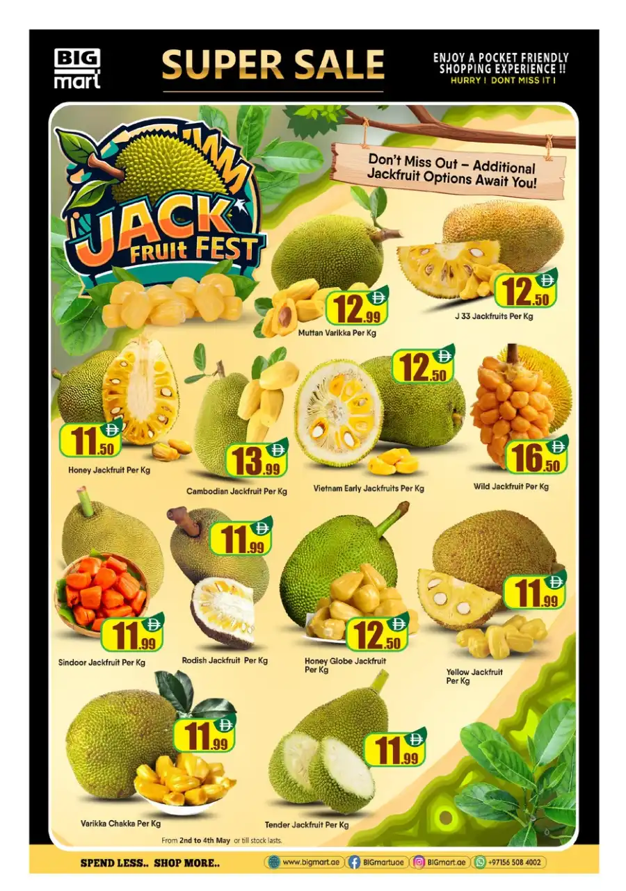 Super 10 Offer In BIG mart Dubai