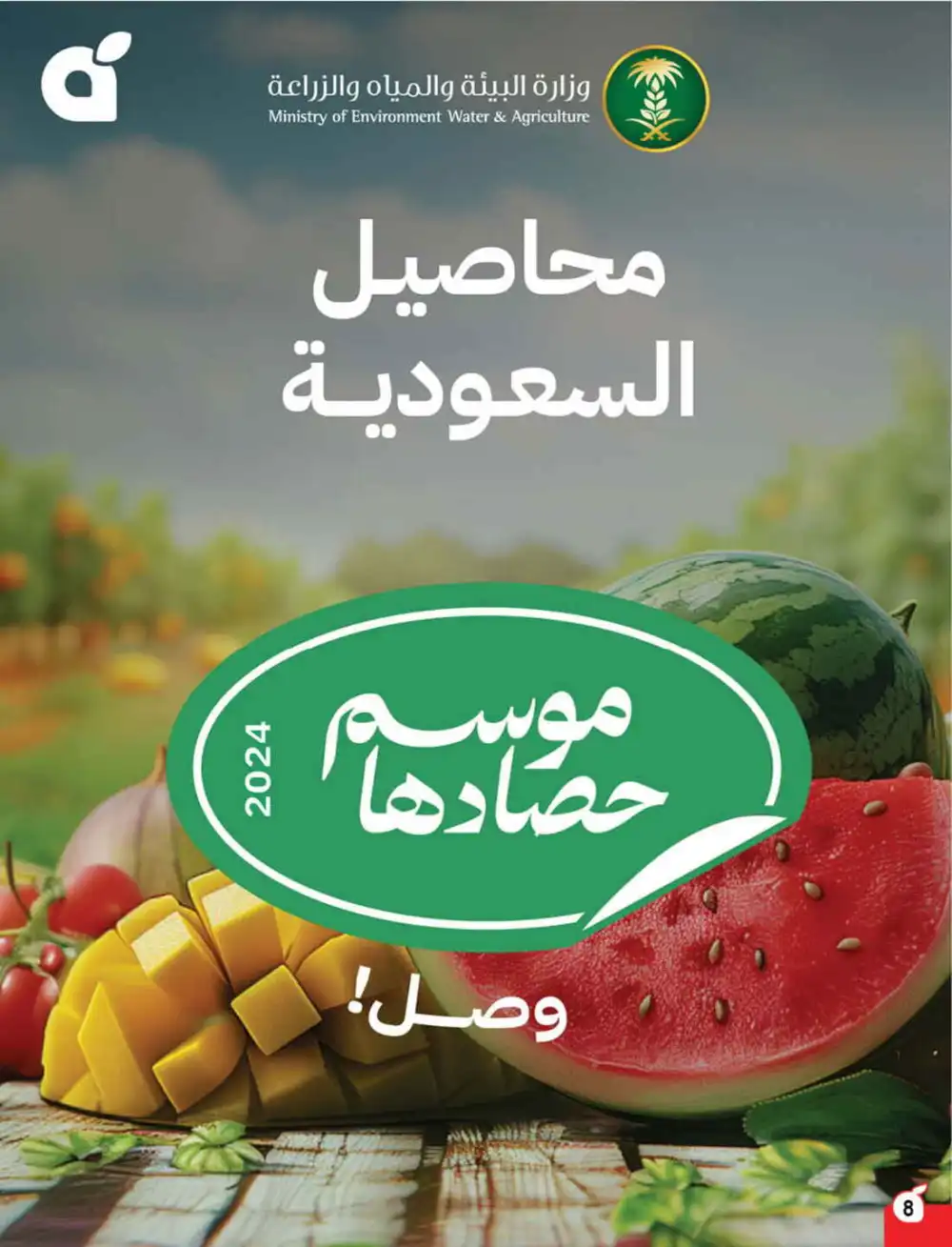 Save 50%: Unbeatable Deals In Panda Hypermarket Al Hasa