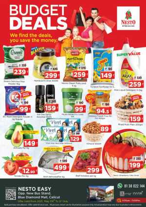 Budget Deals – Up to 60% OFF! In Nesto Easy Calicut