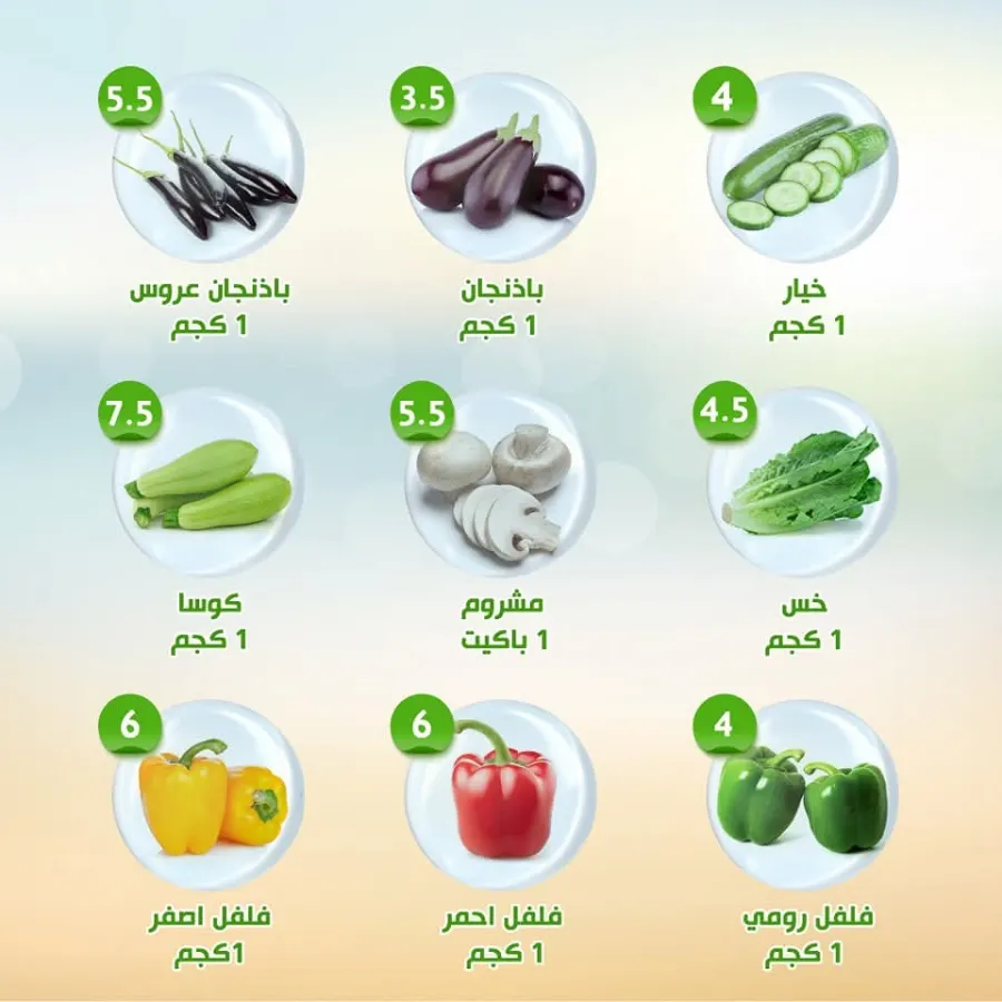 Super Deals In Al Nahda Masriya Abu Dhabi