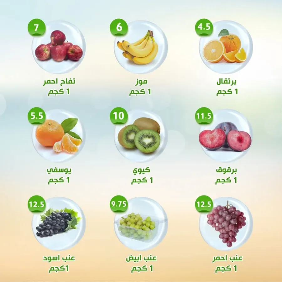 Super Deals In Al Nahda Masriya Abu Dhabi