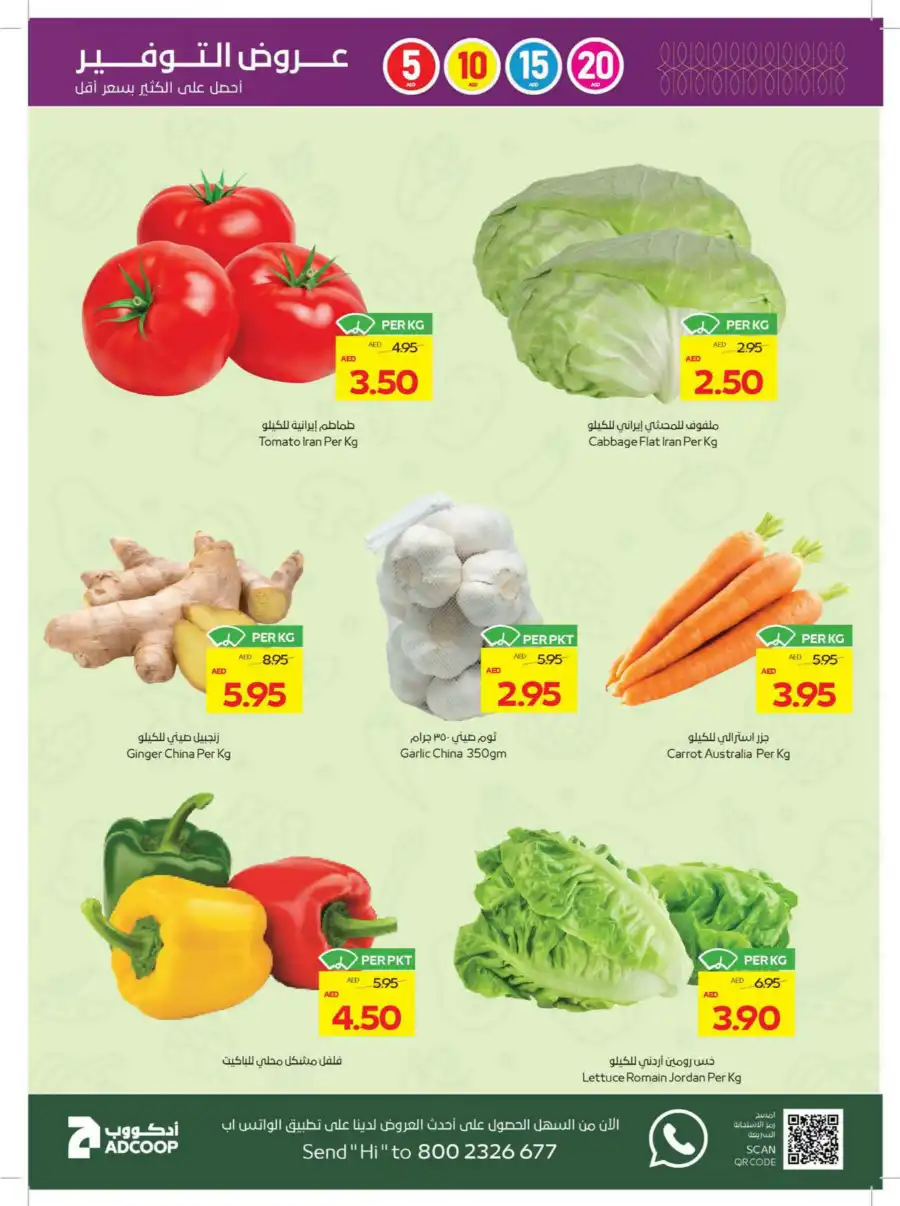 Veggie Fiesta In Megamart Sharjah / Ajman