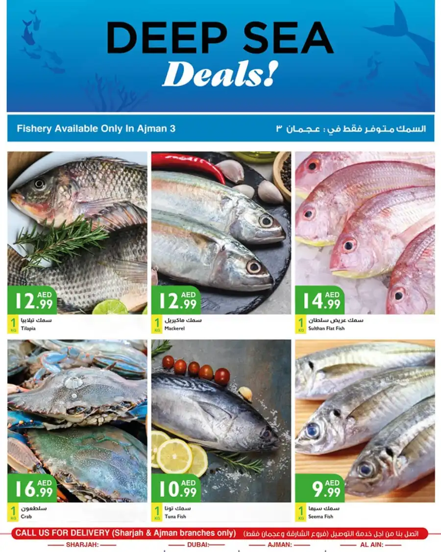 Fresh Deals In Istanbul Supermarket Abu Dhabi