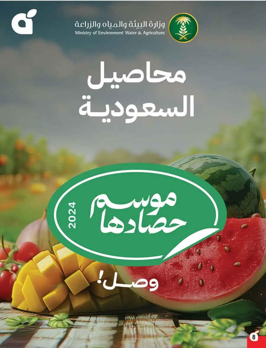 Best Weekly Offers – Enjoy Up to 50% OFF Now! In Panda Hypermarket Al-Kharj