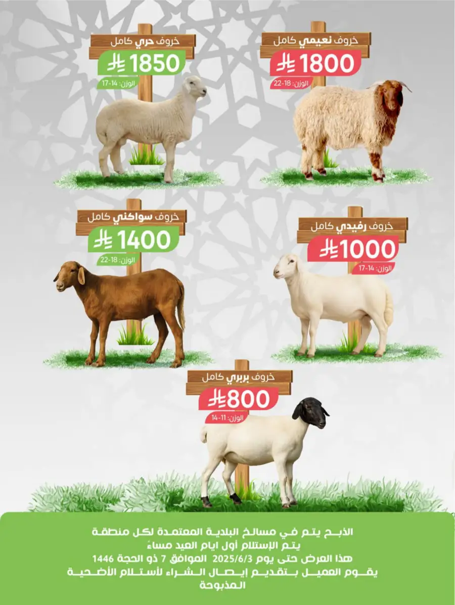 Weekly Mega Sale! Grab 50% OFF Before It’s Gone! In Farm Store Al Hasa