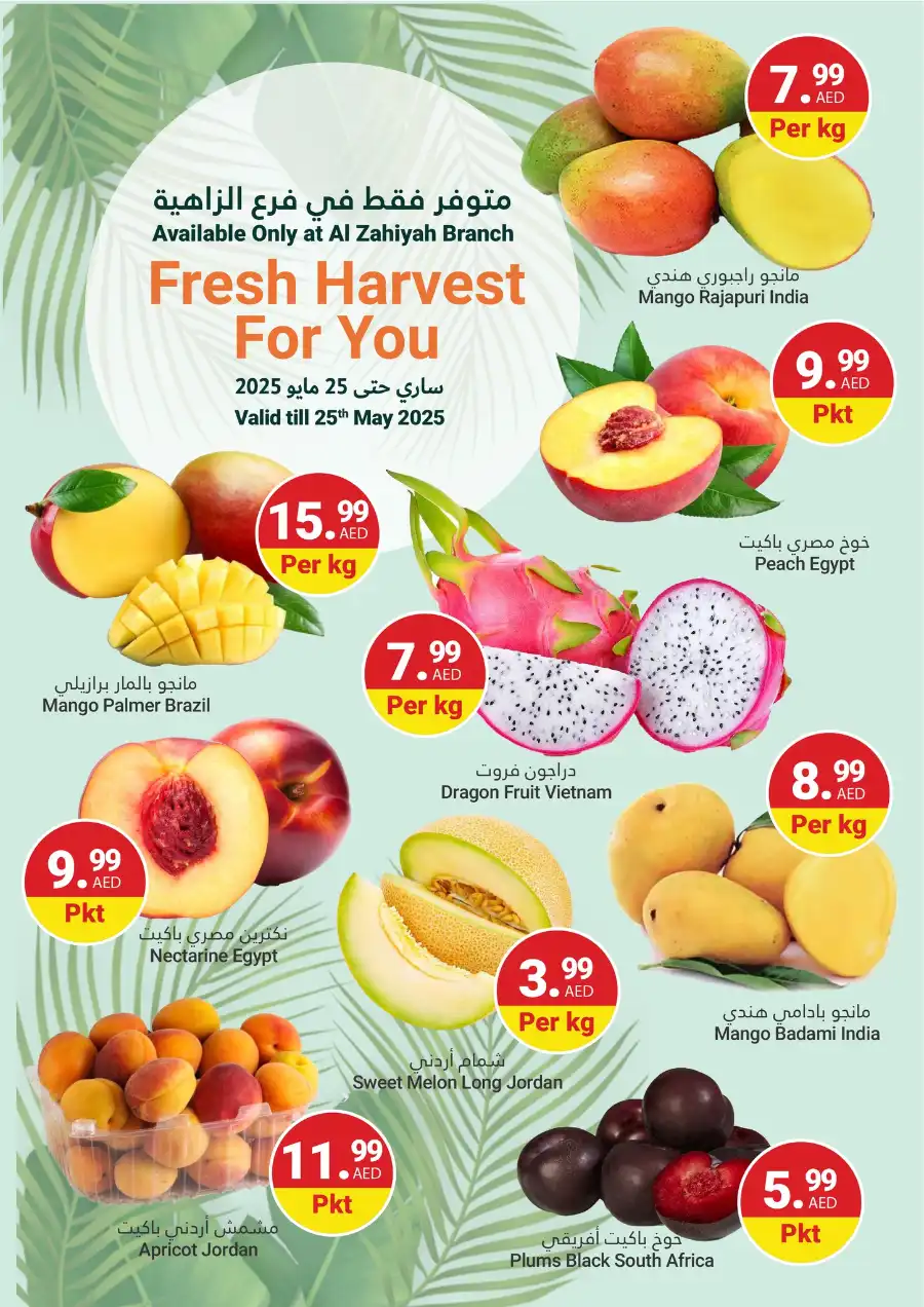 Weekly Grocery & Household Offers - Save Big! In Grand Emirates Market Abu Dhabi
