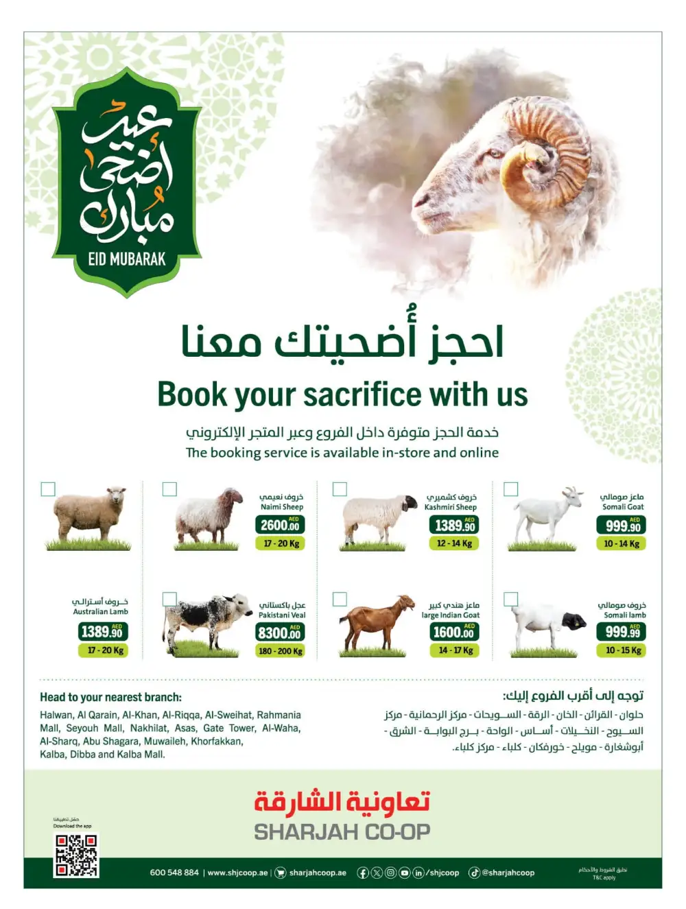 Chill Offers - Relax & Save Big! In Sharjah Coop Sharjah / Ajman