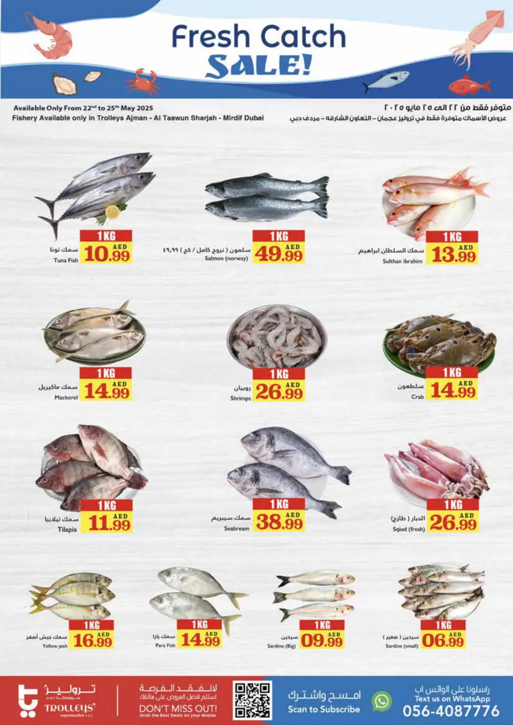 Full Week Festival Sale In Trolleys Supermarket Sharjah / Ajman