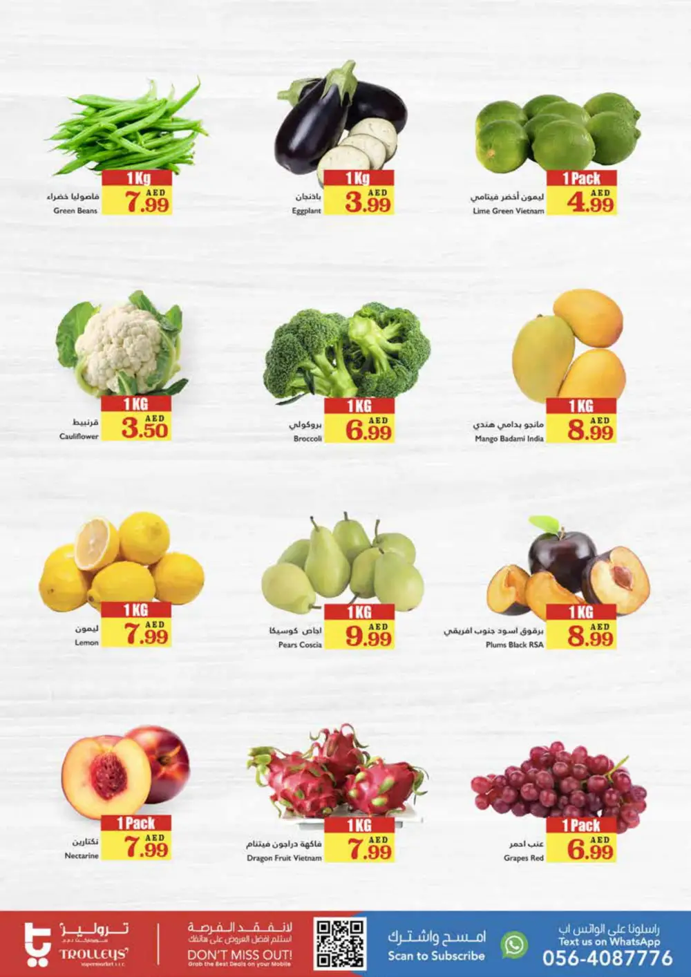 Full Week Festival Sale In Trolleys Supermarket Sharjah / Ajman