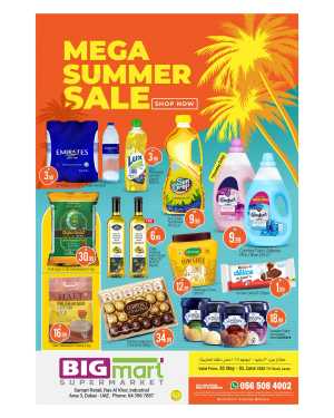 Mega Summer Sale In BIG mart Dubai