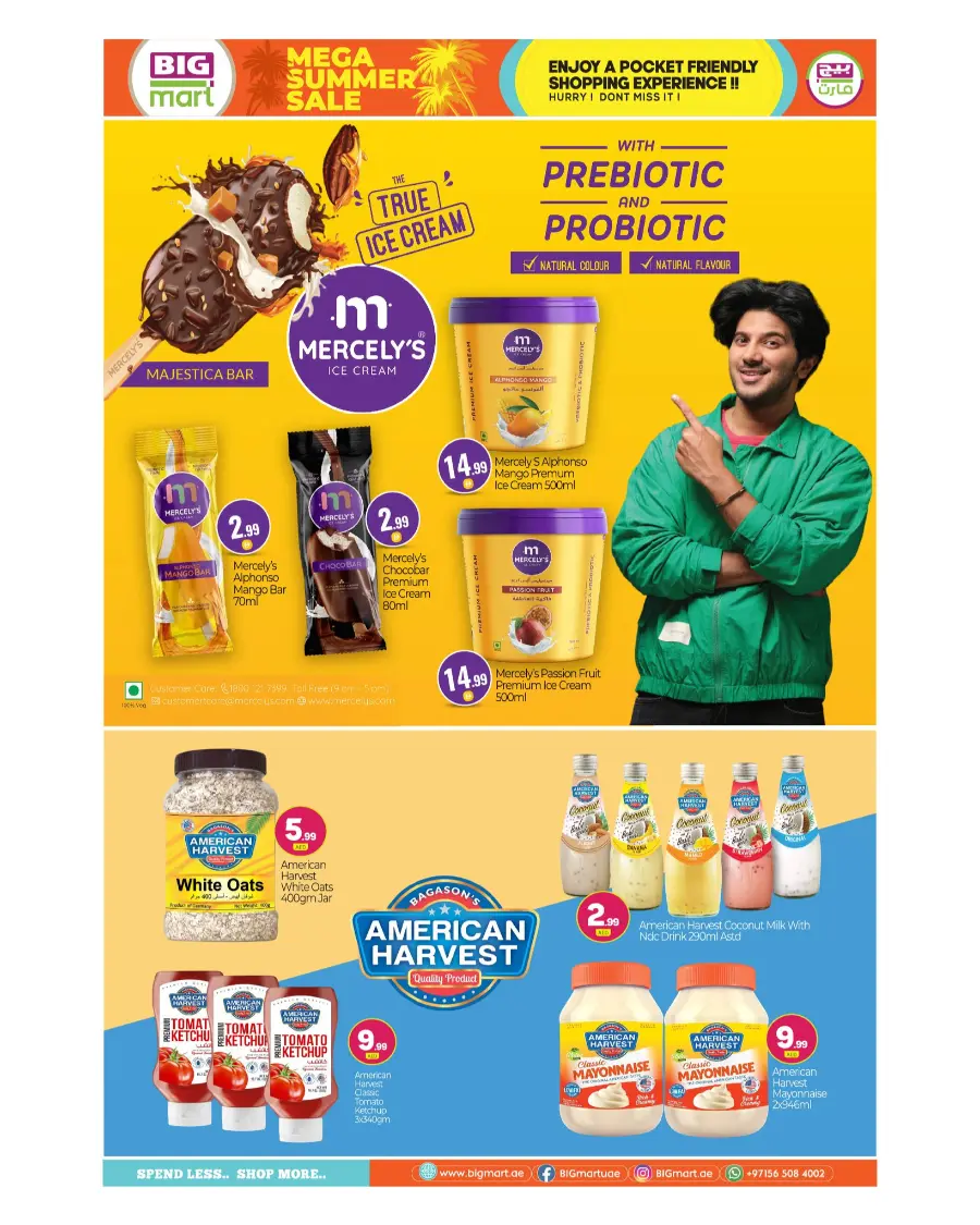 Mega Summer Sale In BIG mart Dubai