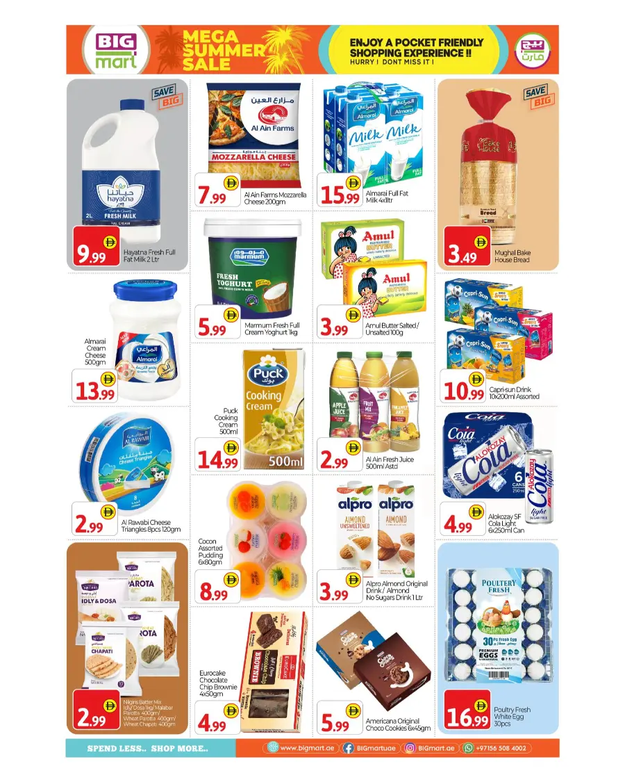 Mega Summer Sale In BIG mart Dubai