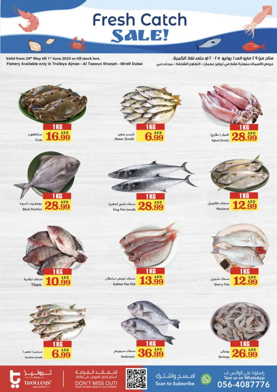 Weekly Offers In Trolleys Supermarket Sharjah / Ajman