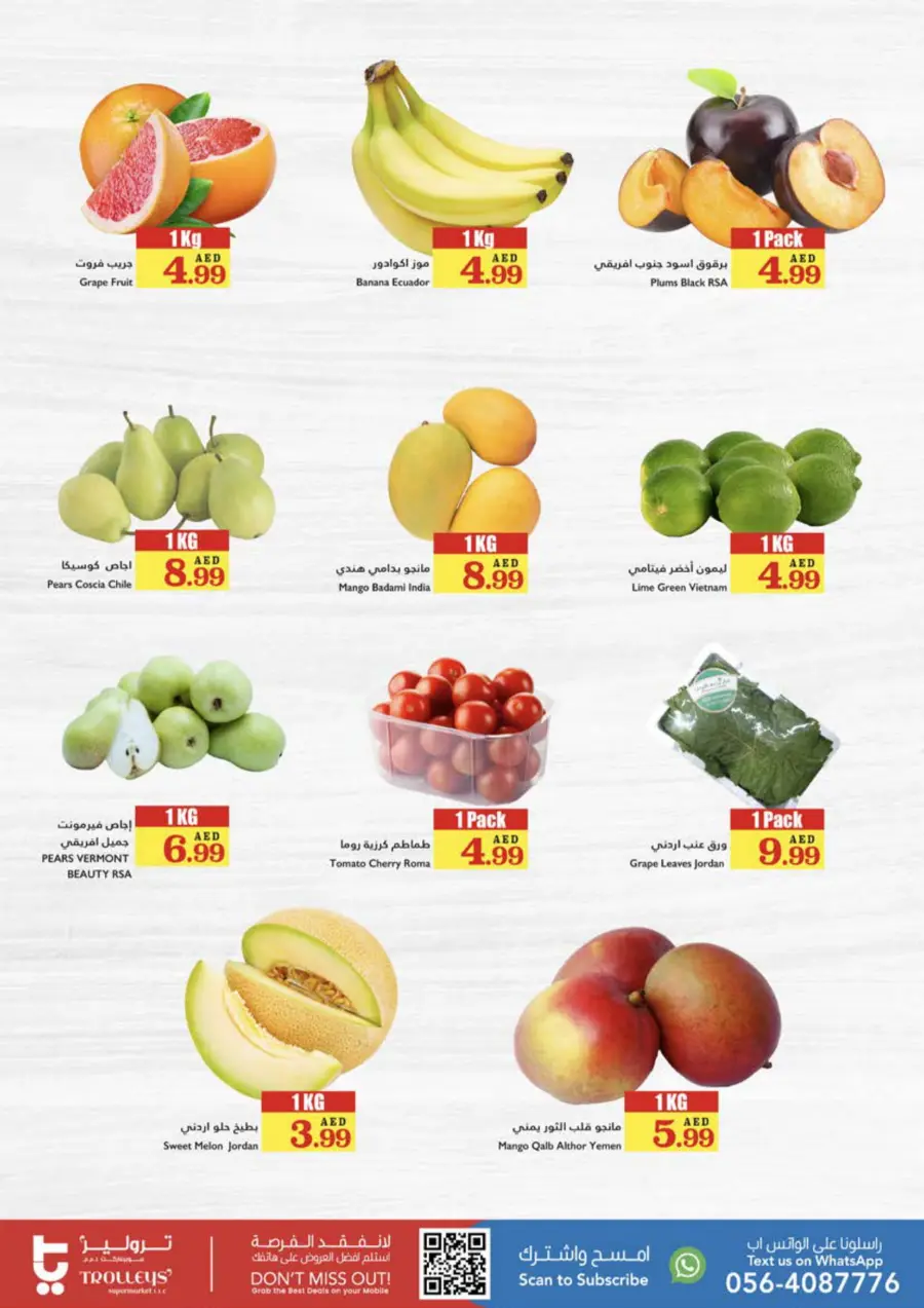 Weekly Offers In Trolleys Supermarket Sharjah / Ajman